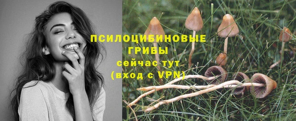 альфа пвп Дмитров