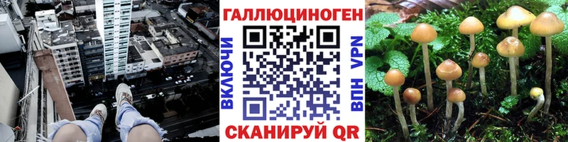 где купить наркоту  Тутаев  Псилоцибиновые грибы мухоморы 
