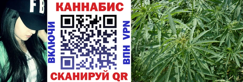 где можно купить наркотик  Тутаев  МАРИХУАНА сатива 